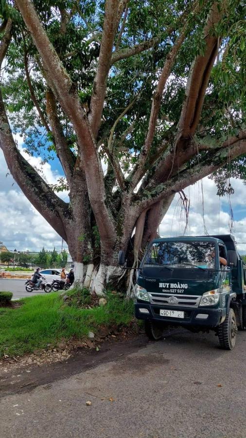 Forelsket 2 Da Lat Dış mekan fotoğraf