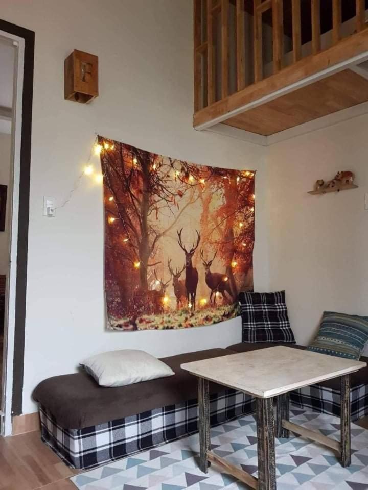 Forelsket 2 Da Lat Oda fotoğraf
